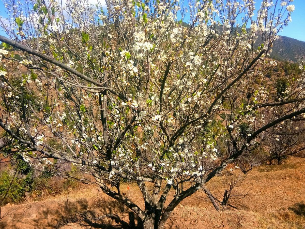 In Apple Estate Kanatal Exterior foto
