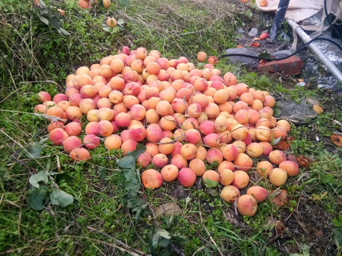 In Apple Estate Kanatal Exterior foto