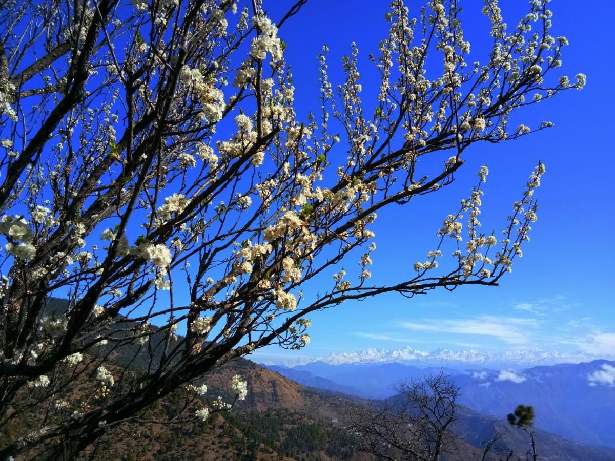 In Apple Estate Kanatal Exterior foto